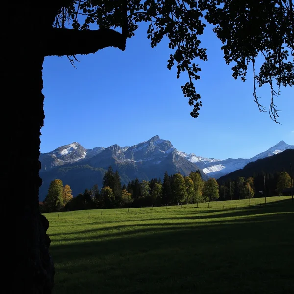 Idyllische landschap in de Zwitserse Alpen — Stockfoto