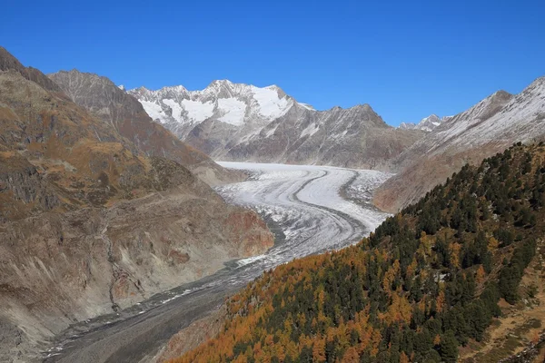 Golden autumn day at the Aletsch Glacier — Stock Photo, Image