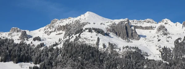 Kar titredin dağlar Toggenburg Vadisi — Stok fotoğraf