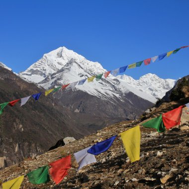 Prayer flags and snow capped mountain in the Himalayas clipart