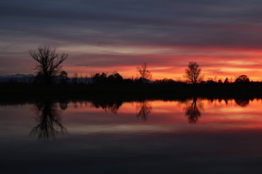Renkli gece gökyüzü ve göl Pfaffikon, ağaçlar