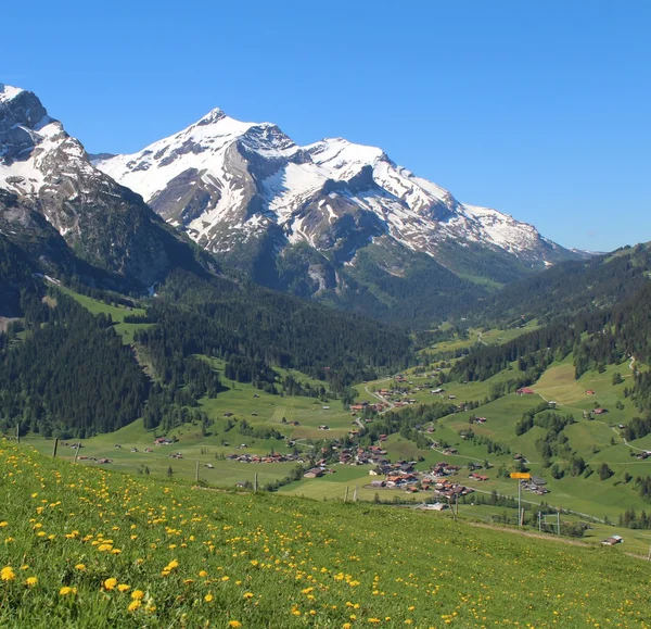 Lentetijd in de Zwitserse Alpen — Stockfoto