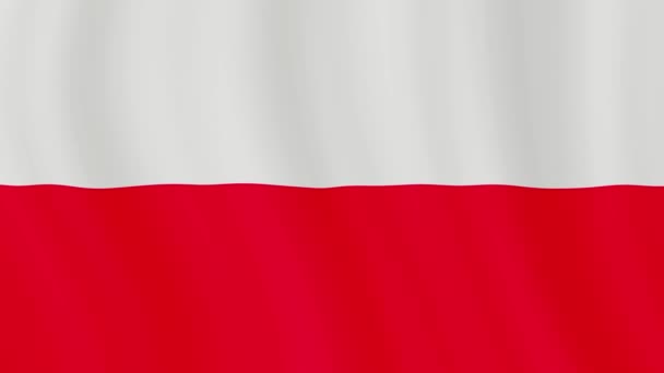 Pologne Drapeau Gros Plan Drapeau Polonais Agitant Dans Vent Réaliste — Video