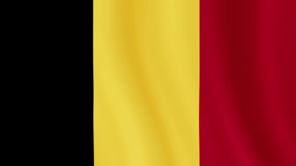 벨기에 벨기에 국기가 바람에 나부끼는 현실적 해상도 — 비디오