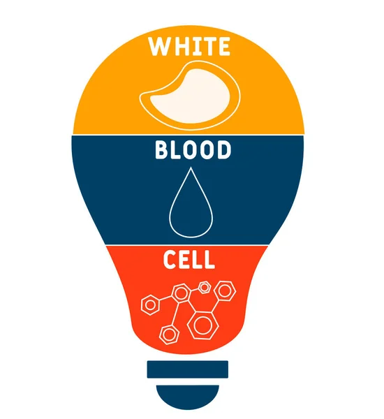 Wbc White Blood Cell Acroniem Medische Concept Achtergrond Vector Illustratie — Stockvector