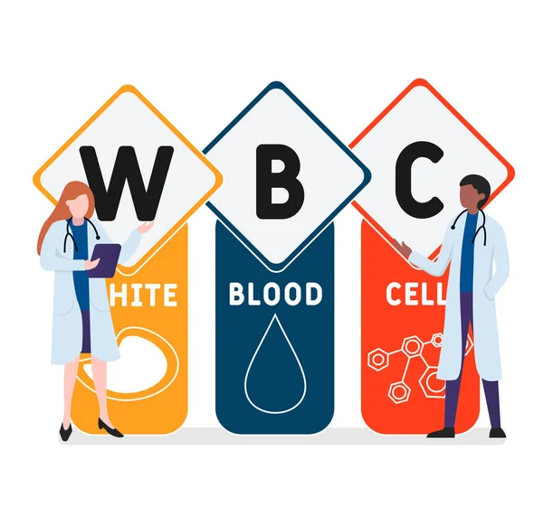 Vlak Ontwerp Met Mensen Wbc White Blood Cell Acroniem Medische — Stockvector