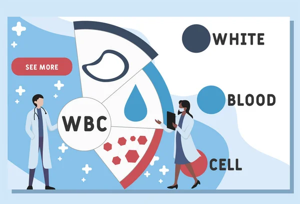 Modello Design Del Sito Web Vettoriale Wbc Acronimo White Blood — Vettoriale Stock