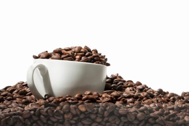 kahve kavrulmuş fasulye