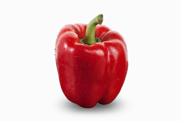 Söt röd paprika — Stockfoto