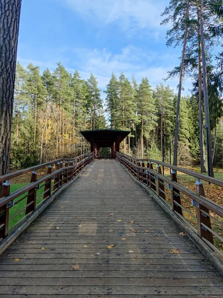 Dřevěná Promenáda Vede Přírodního Parku Dřevěný Most Střechou — Stock fotografie