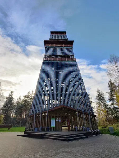 Torre Observación Madera Alta Reserva Natural Tervete Letonia Atalaya Con — Foto de Stock
