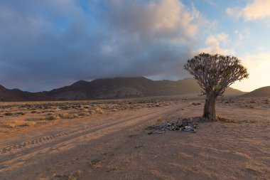 Yolun yanındaki ağaç titreme