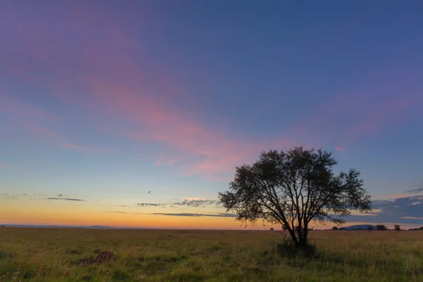 Roze kleuren voor zonsopgang — Stockfoto