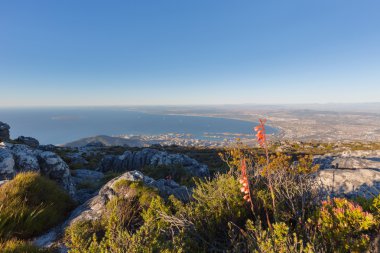 Table Mountain yuvasından tablo