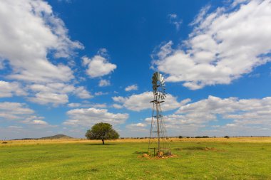 Bulutlar, yalnız bir ağaç ve bir yel değirmeni