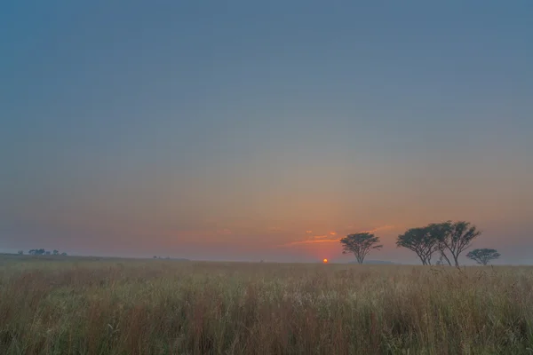 Mistige zonsopgang op een koude ochtend — Stockfoto