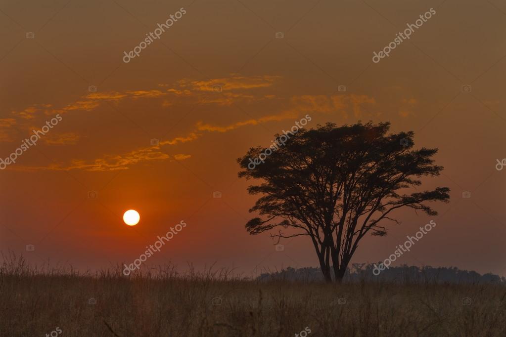 Lever Du Soleil Rouge Africain Photographie Hannesthirion