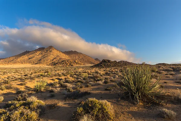 Low clouds over Richtersveld — Stock Photo, Image