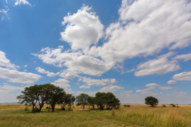 Bulutlar ve ağaçlar, su