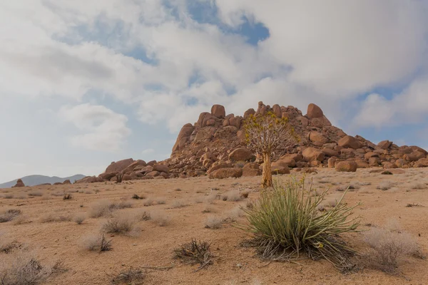 Arid Richtersveld with clouds — Stock Photo, Image