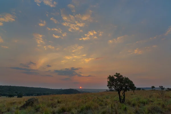 Pôr-do-sol africano colorido — Fotografia de Stock