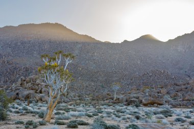 Düşük yan Richtersveld içinde ışık