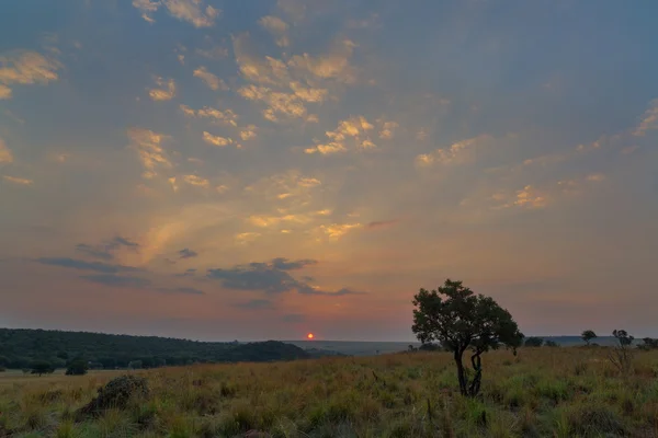 Afrykański zachód słońca na Ezemvelo Nr — Zdjęcie stockowe