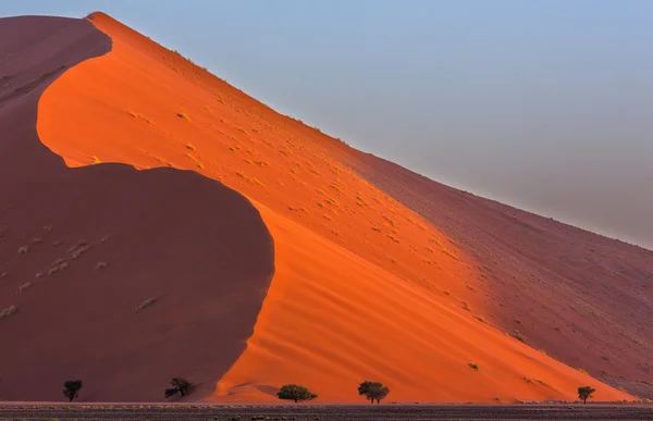 風が砂丘を席巻 — ストック写真