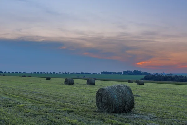 Fodder bales on the land — Stock Photo, Image