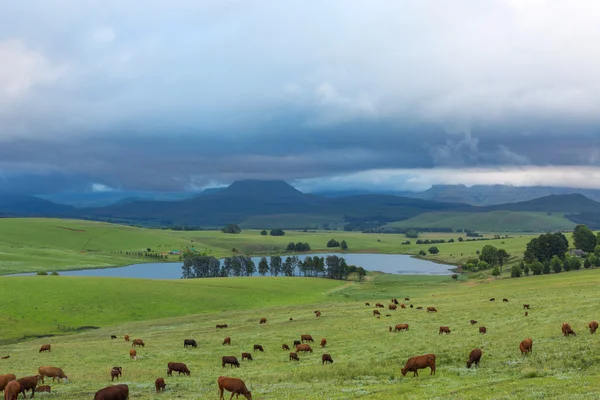 Rain on it's way — Stock Photo, Image