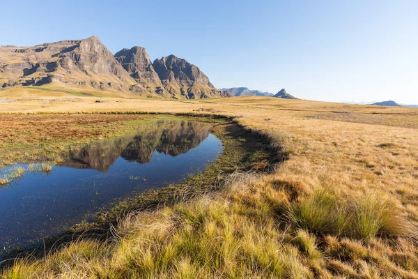 Picos reflejándose en la piscina — Foto de Stock