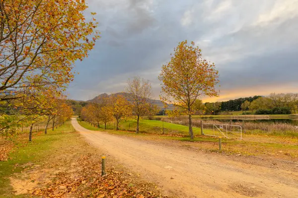 Autumn Colored Trees Line Dirt Road — Stock Photo, Image