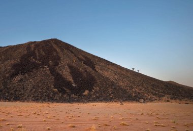 Titrek Ağaçlar kara kayalık dağlarda