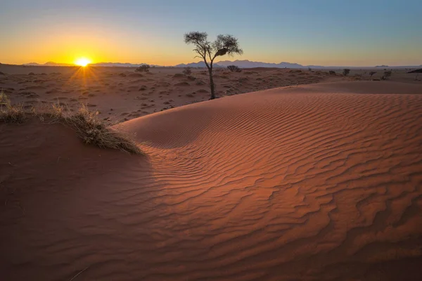 風に吹かれた砂の砂丘の上の夕日 ストック写真