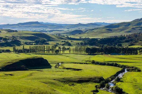 River Zig Zag Green Valley Trees Lining Road — Stock Photo, Image