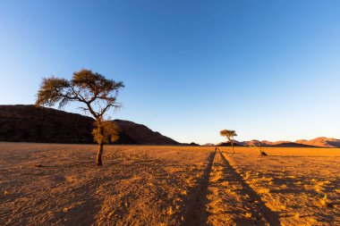 İzler çöldeki ufka doğru gidiyor.