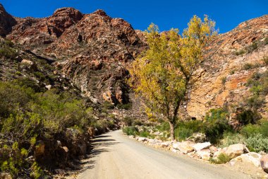 Kaya oluşumları çakıl yolunun üzerinde Swartberg Geçidi 'nde.