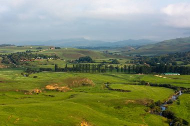 Yeşil vadide dağ deresi akışı