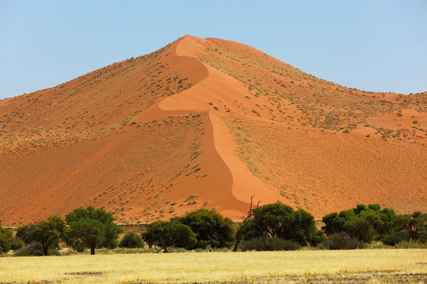 Duże czerwone wydmy — Zdjęcie stockowe