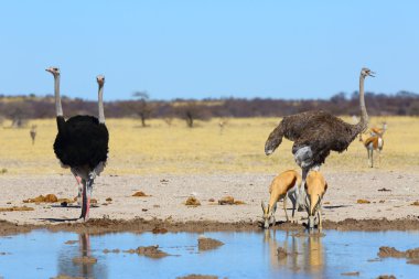 Kim Kimdir ziyarette200