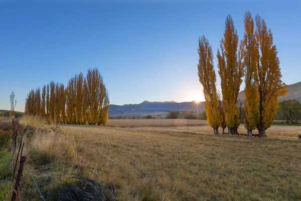 Restez à l'écart pour que le soleil se couche — Photo