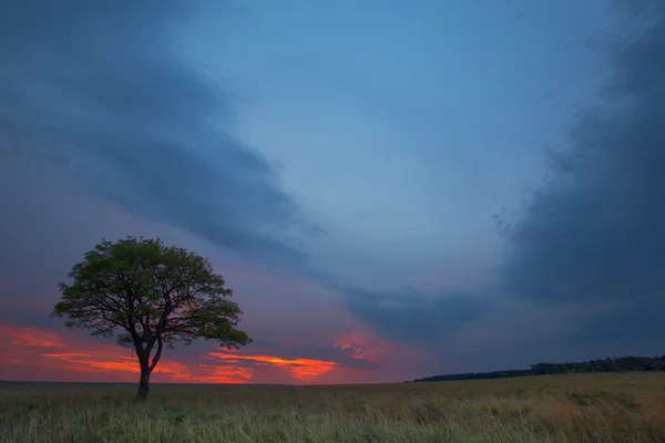 Pôr-do-sol azul e vermelho — Fotografia de Stock