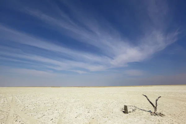 Mock graves op Sua Pan — Stockfoto