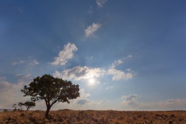 geç öğleden sonra güneş