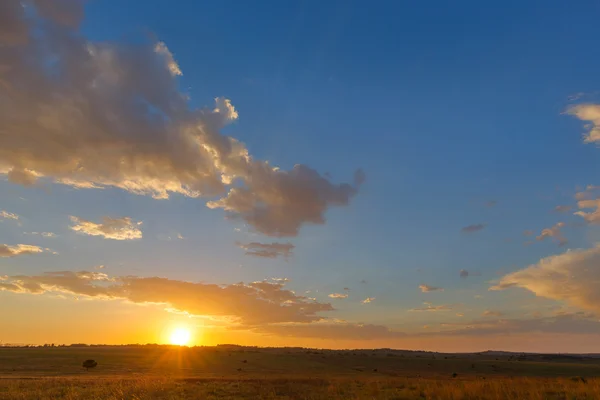 Pôr do sol amarelo e azul — Fotografia de Stock