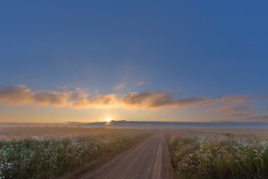Cosmos yol gündoğumu