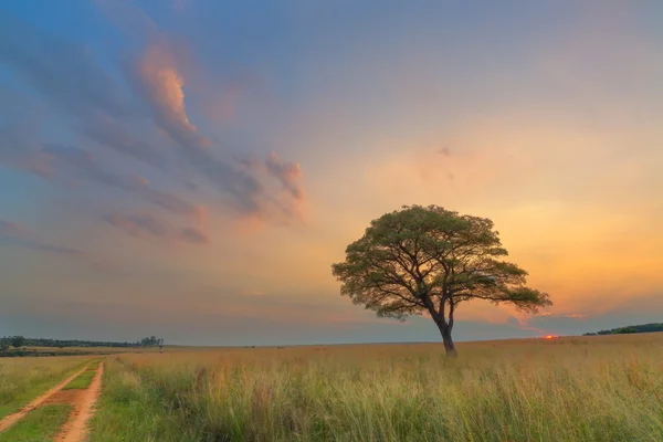 Pastel kleuren van de zonsondergang — Stockfoto