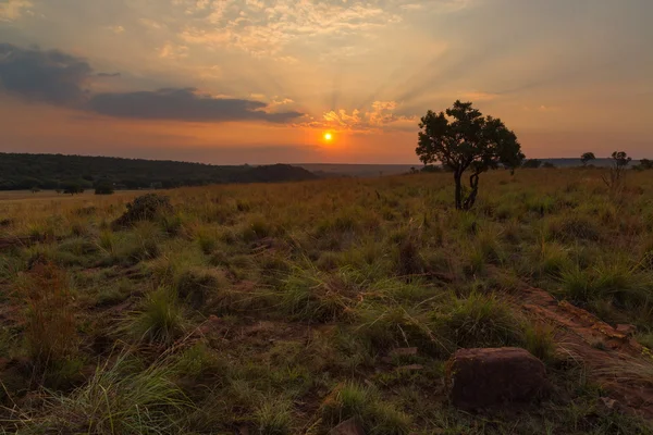 Ezemvelo zonsondergang — Stockfoto