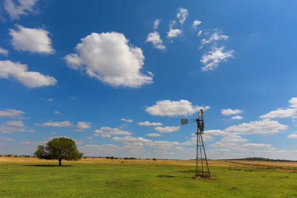 White clouds above the green pasture — Stock Photo, Image