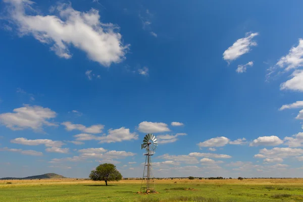 A Tree and a windmill — Stock Photo, Image